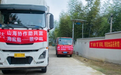 懷抱熱愛、奔赴山海~ 膳博士黑豬“遠嫁”景寧鄭坑助共富！